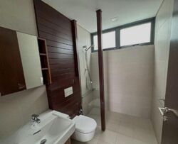 Shamrock Park (D10), Terrace #500355331